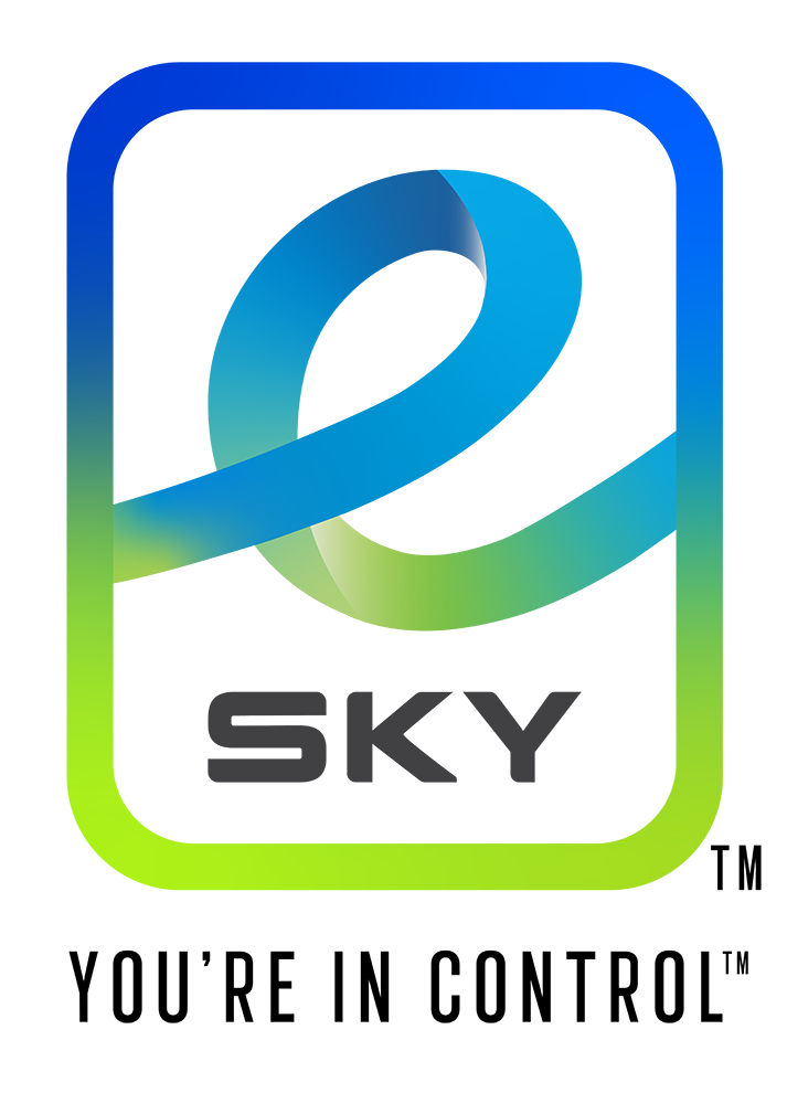 e-SKY Solutions
